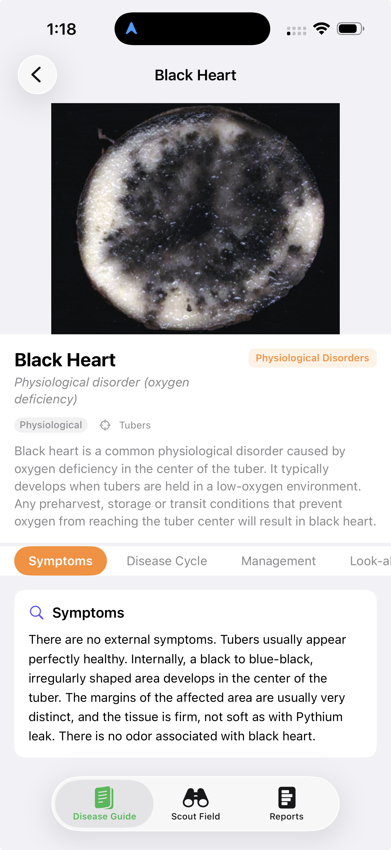 SpudScout disease guide entry for Black Heart, showing a cross-sectioned tuber with characteristic blue-black core from oxygen deficiency